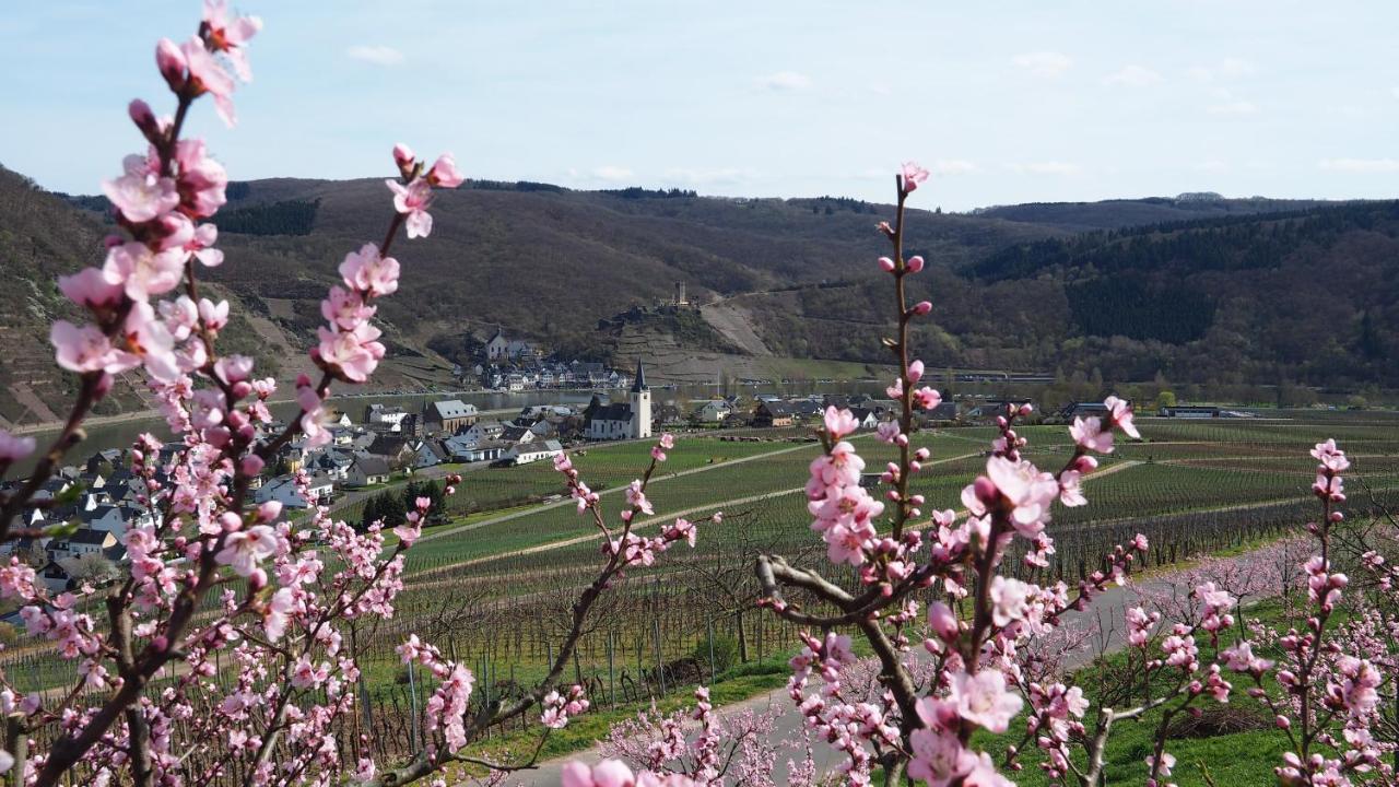 Gaestehaus Preuss Ellenz-Poltersdorf Exterior foto